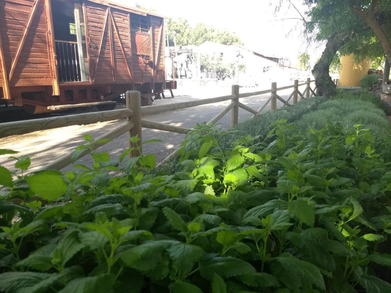 ホテル Hostal Nicol'S Luque エクステリア 写真